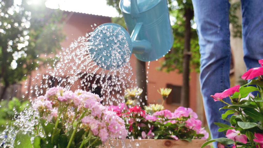 Väärt nipp muudab kuumalaine ajal taimede kastmise mitu korda lihtsamaks thumbnail